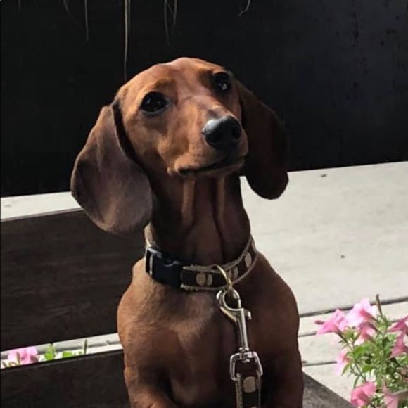 Meet your Posher, Tim - Picture 1 of 1